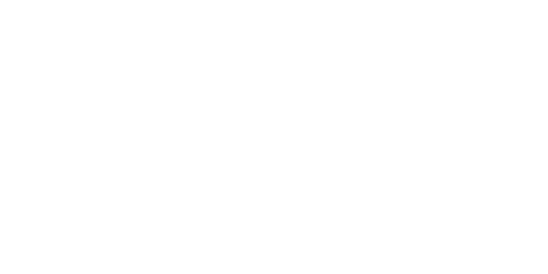 Bliss Home Loans White Logo